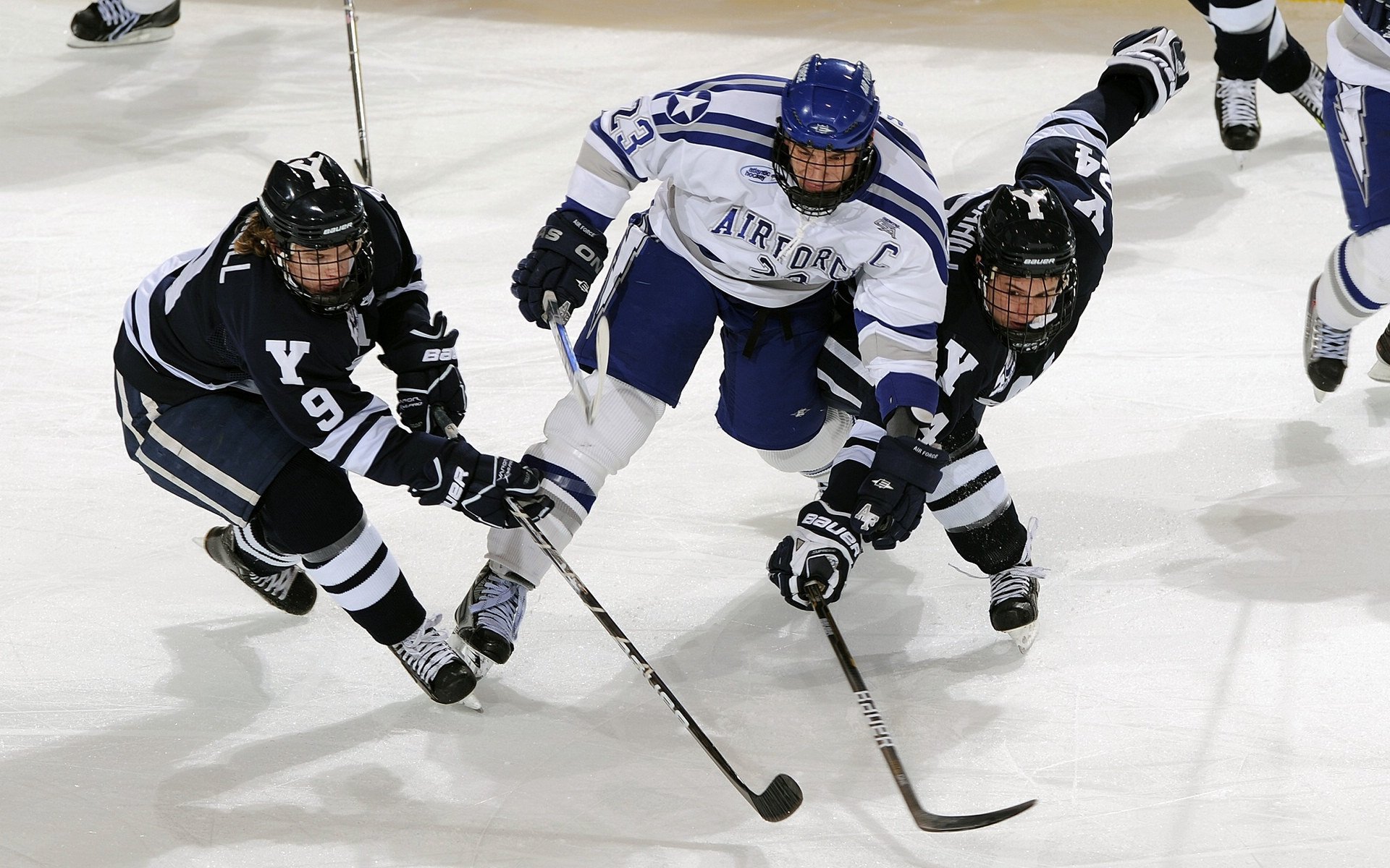 城市举办体育产业博览会吸引众多企业与创新项目参展,2021年体育博览会